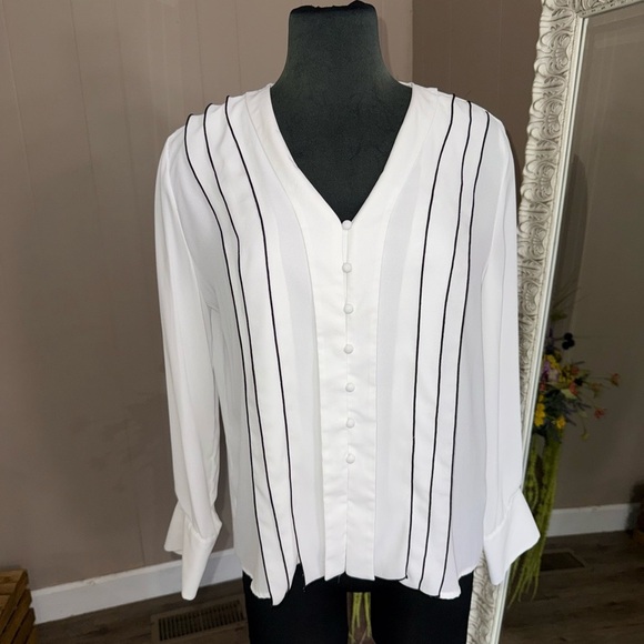 Zara • Long Sleeve Sheer Striped V-Neck Blouse - Picture 2 of 11